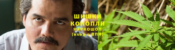 сатива Арсеньев