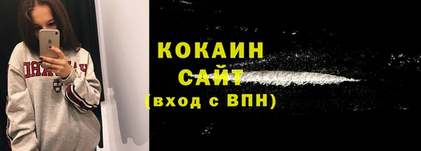 сатива Арсеньев