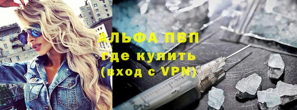 сатива Арсеньев