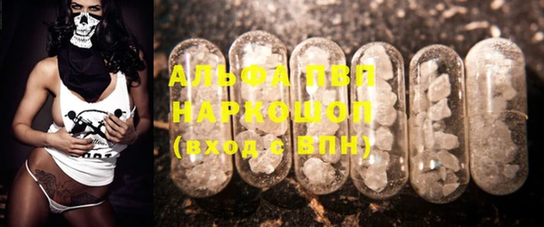 спиды Аркадак