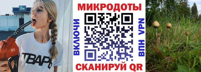 Галлюциногенные грибы мицелий  где продают   Любань 